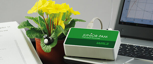 Junior pam 2l
